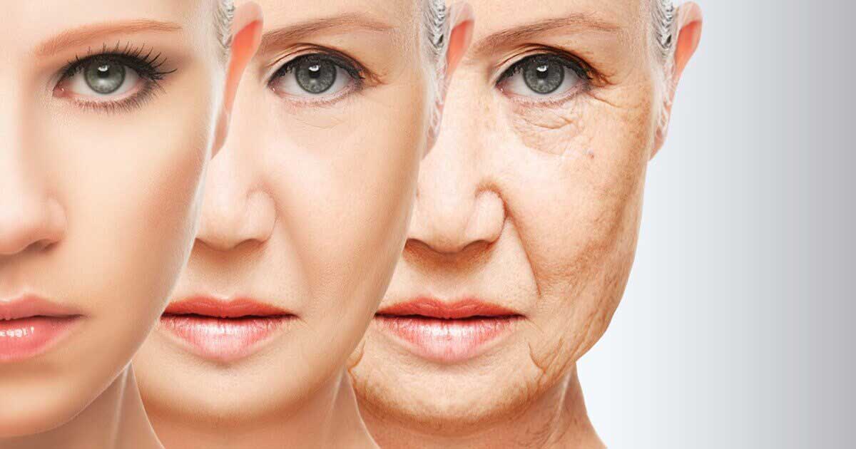 Khám phá những bí mật về quá trình lão hóa của con người Khám phá những bí mật về quá trình lão hóa của con người
