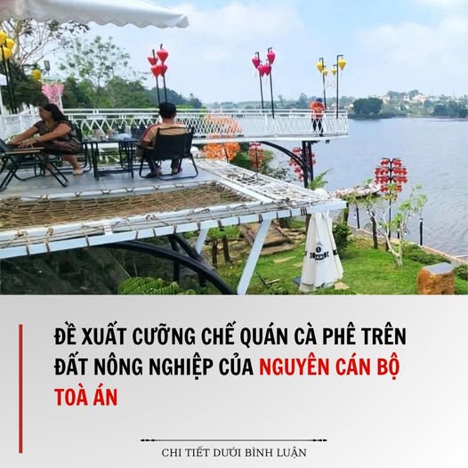 Đề xuất cưỡng chế quán cà phê trên đất nông nghiệp của nguyên cán bộ toà án