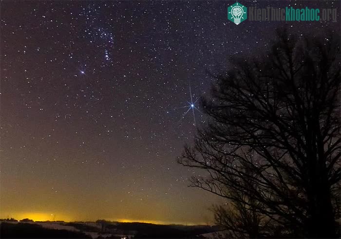 Những ngôi sao trên bầu trời đêm mà bạn nhìn thấy là gì? Những ngôi sao trên bầu trời đêm mà bạn nhìn thấy là gì?
