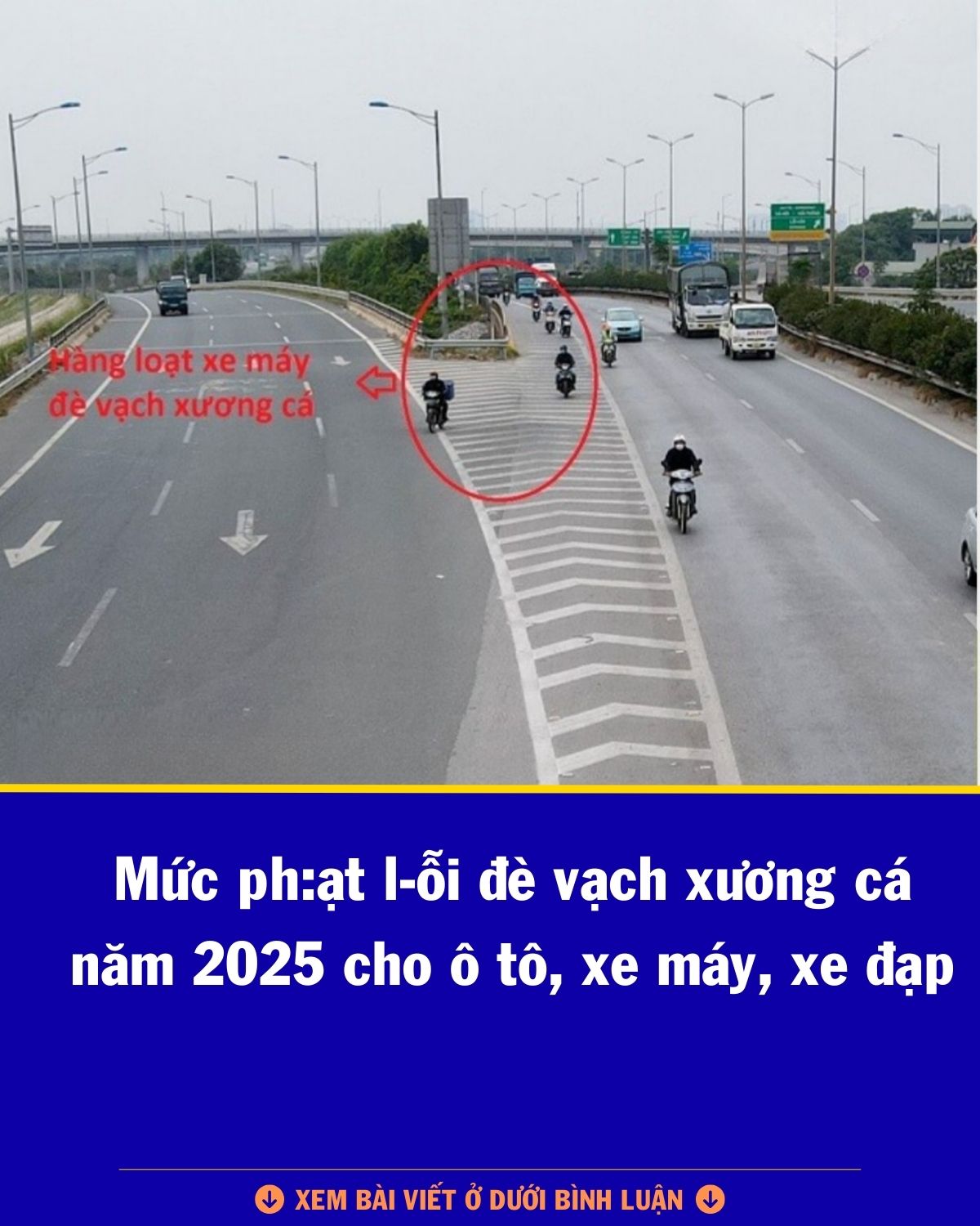 Vạch xương cá là gì? Mức phạt đối với lỗi đè vạch xương cá Vạch xương cá là gì? Mức phạt đối với lỗi đè vạch xương cá