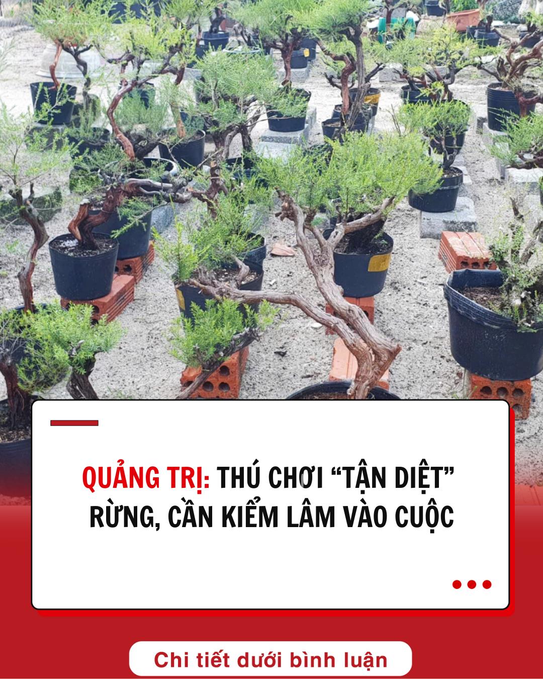 Thú chơi “tận diệt” rừng Thú chơi “tận diệt” rừng