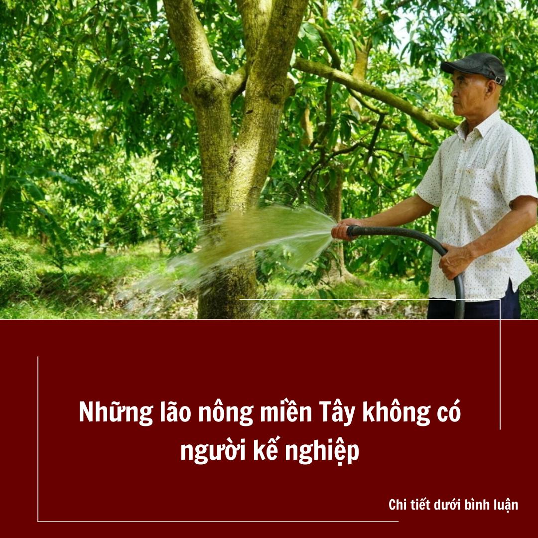 Những lão nông miền Tây không có người kế nghiệp Những lão nông miền Tây không có người kế nghiệp