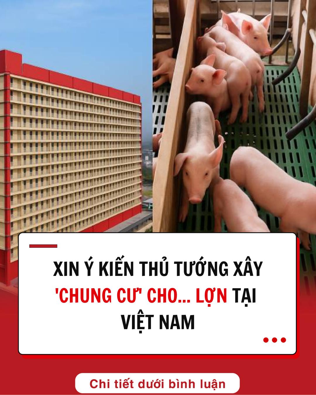 Xin ý kiến Thủ tướng cho làm mô hình ‘chung cư nuôi heo’ ở Việt Nam Xin ý kiến Thủ tướng cho làm mô hình ‘chung cư nuôi heo’ ở Việt Nam