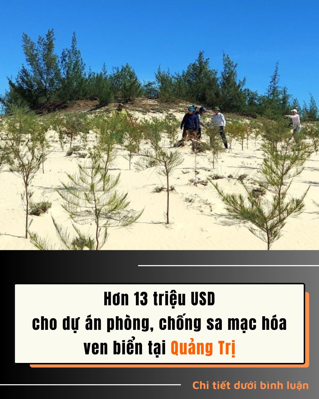 Hơn 13 triệu USD cho dự án phòng, chống sa mạc hóa ven biển tại Quảng Trị